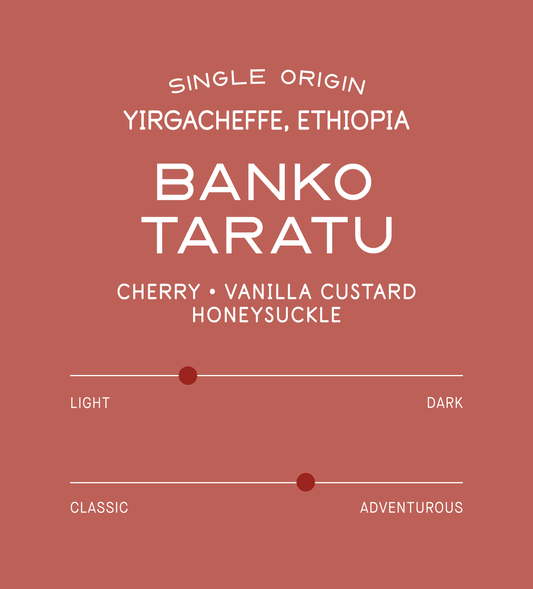 Verve Coffee Roasters - Banko Taratu - Scent Profile - Single Origin - Yirgacheffe, Ethiopia - Cherry, Vanilla Custard, Honeysuckle - Light + Adventurous