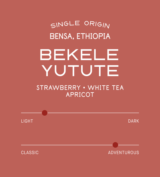 Verve Coffee Roasters - Bekele Yutute - Scent Profile - Single Origin - Bensa, Ethiopia - Strawberry, White Tea, Apricot - Light + Adventurous