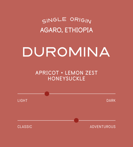 Verve Coffee Roasters - Duromina - Scent Profile - Single Origin - Agaro, Ethiopia -Tasting Notes: Apricot, Lemon Zest, Honeysuckle - Light + Adventurous