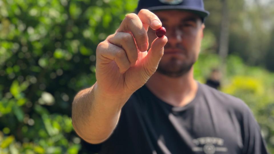 Know Your Producer - Costa Rica