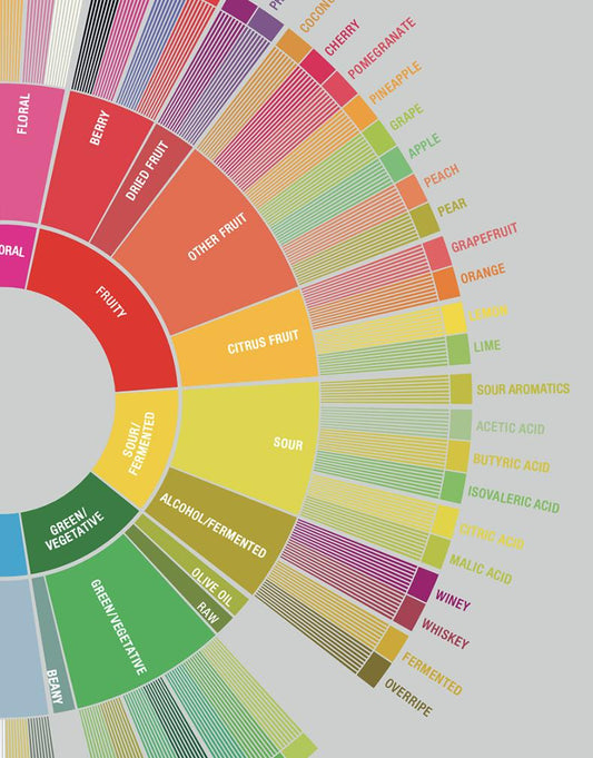 How to Taste Coffee Like a Pro