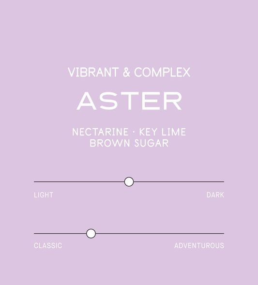 Verve Coffee Roasters - Aster - Scent Profile - Vibrant & Complex - Nectarine, Key Lime, Brown Sugar - Medium + Classic