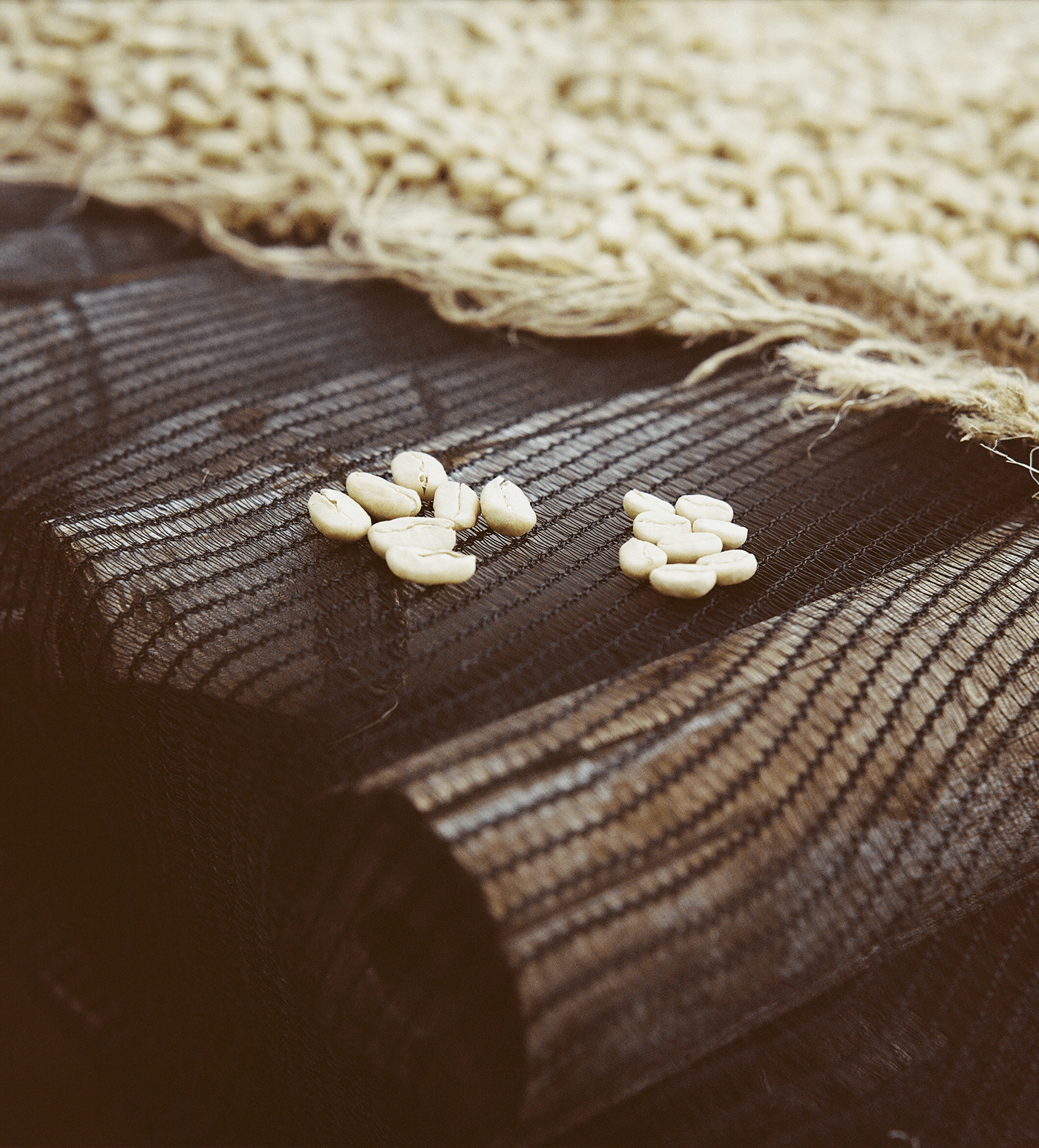 Verve Coffee Roasters - Chelchele - Producer Image