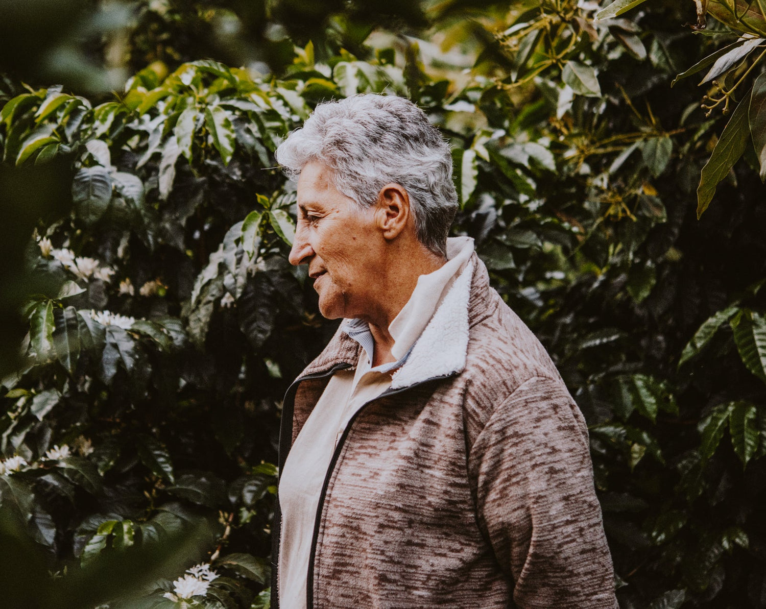A Colombian coffee farmer, Amparo Maya Guerrero