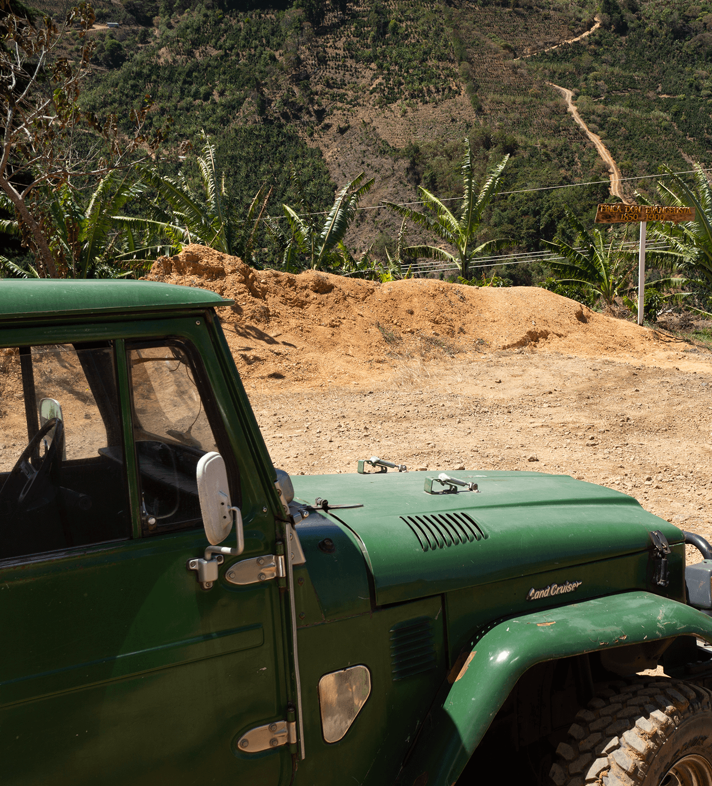 Verve Coffee Roasters - Finca Macho - Producer Image