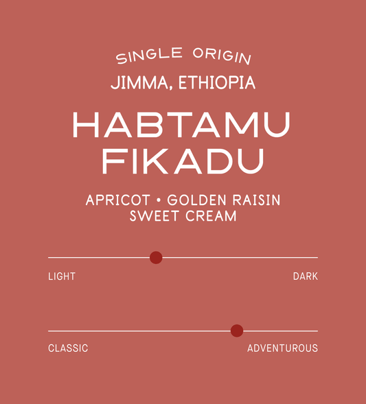 Archive: Ethiopia Habtamu Fikadu