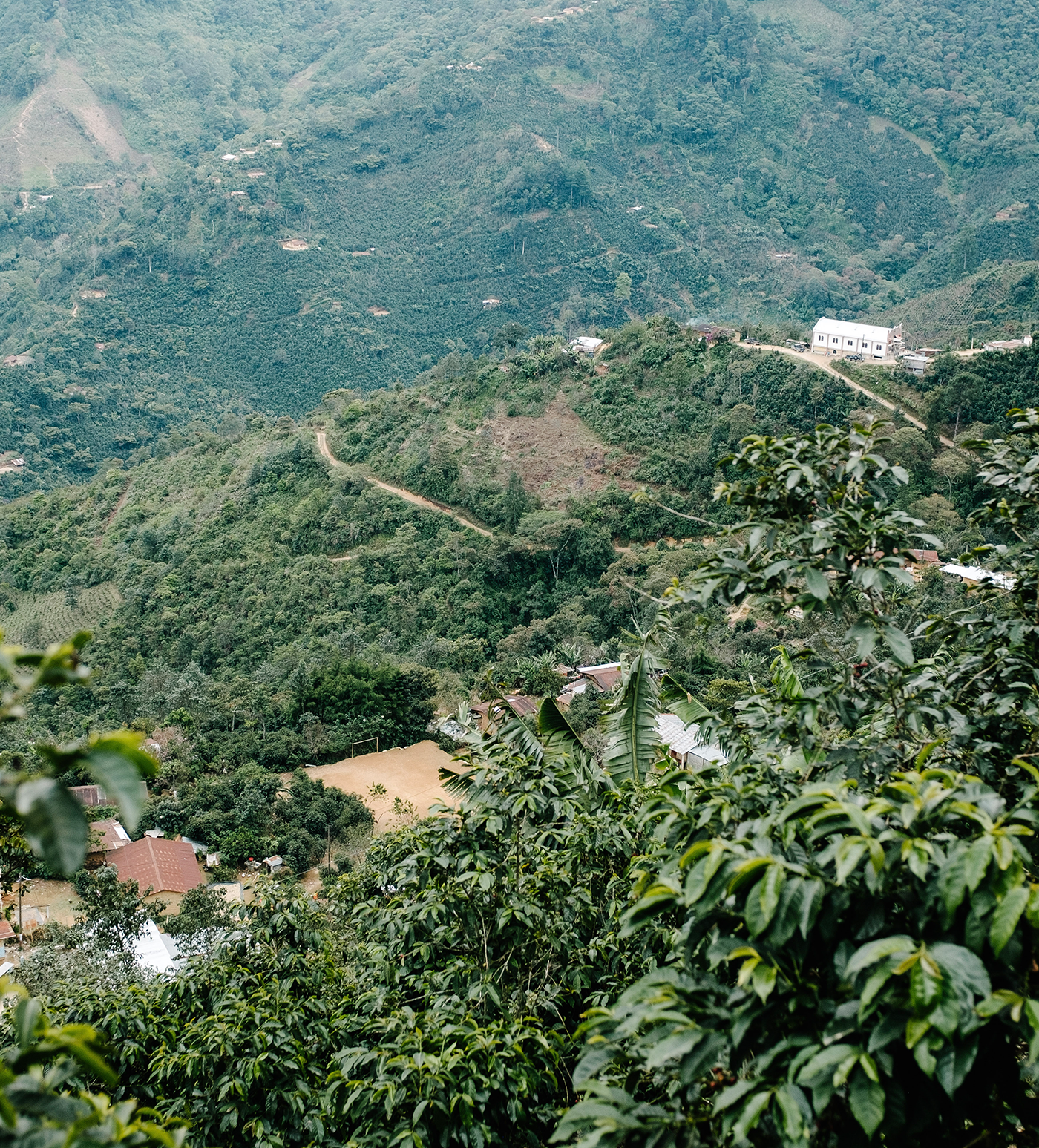 Verve Coffee Roasters - Hunapu - Producer Image