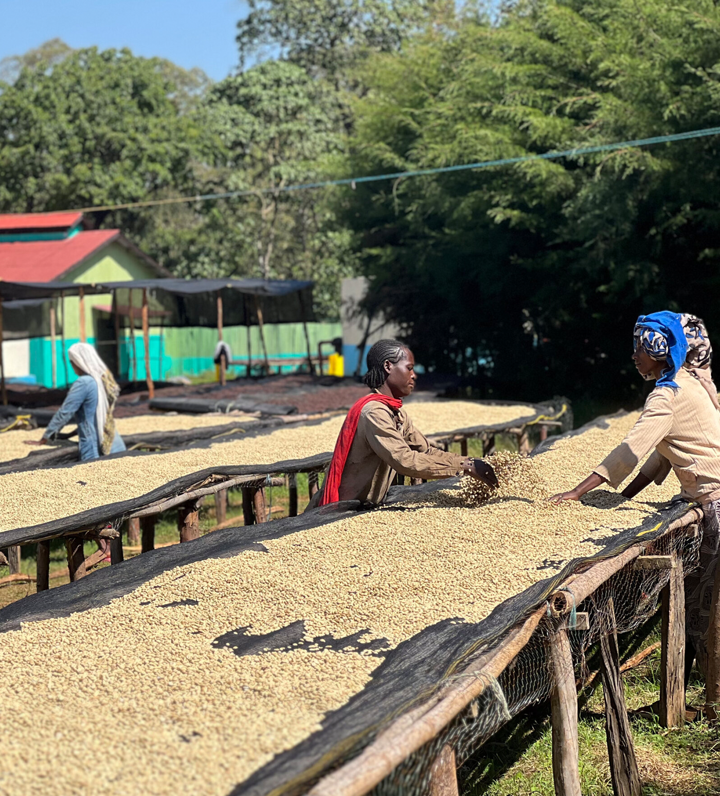 Verve Coffee Roasters - Idido - Producer Image