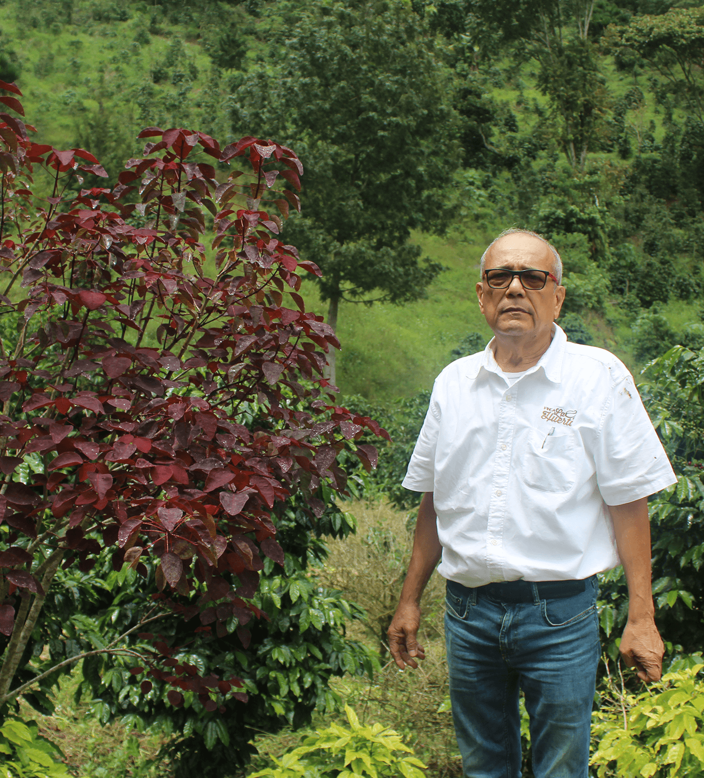 Verve Coffee Roasters - Jorge Lanza - Producer Image