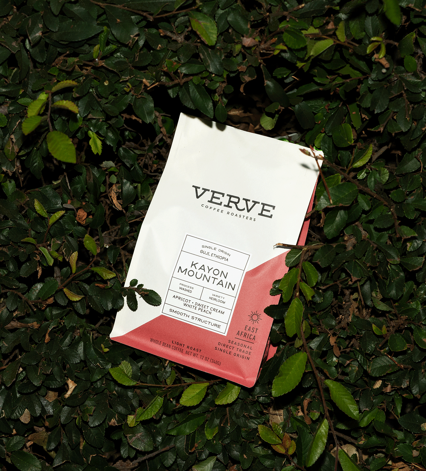 Verve Coffee Roasters - Kayon Mountain - Single Origin - Guji, Ethiopia - Process: Washed - Variety: Heirloom - Tasting Notes: Apricot, Sweet Cream, White Peach - Smooth Structure - East Africa - Seasonal - Direct Trade