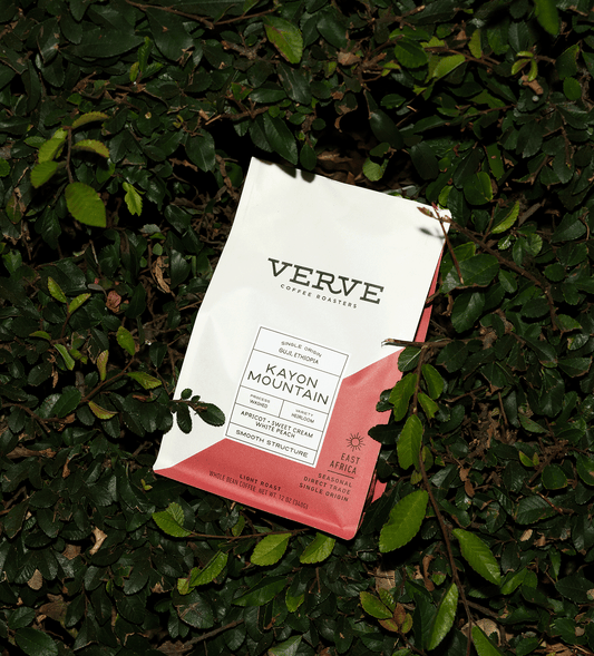 Verve Coffee Roasters - Kayon Mountain - Single Origin - Guji, Ethiopia - Process: Washed - Variety: Heirloom - Tasting Notes: Apricot, Sweet Cream, White Peach - Smooth Structure - East Africa - Seasonal - Direct Trade