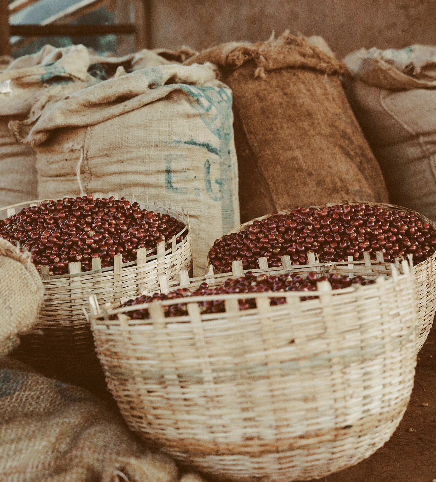 Verve Coffee Roasters - Kayon Mountain - Producer Image