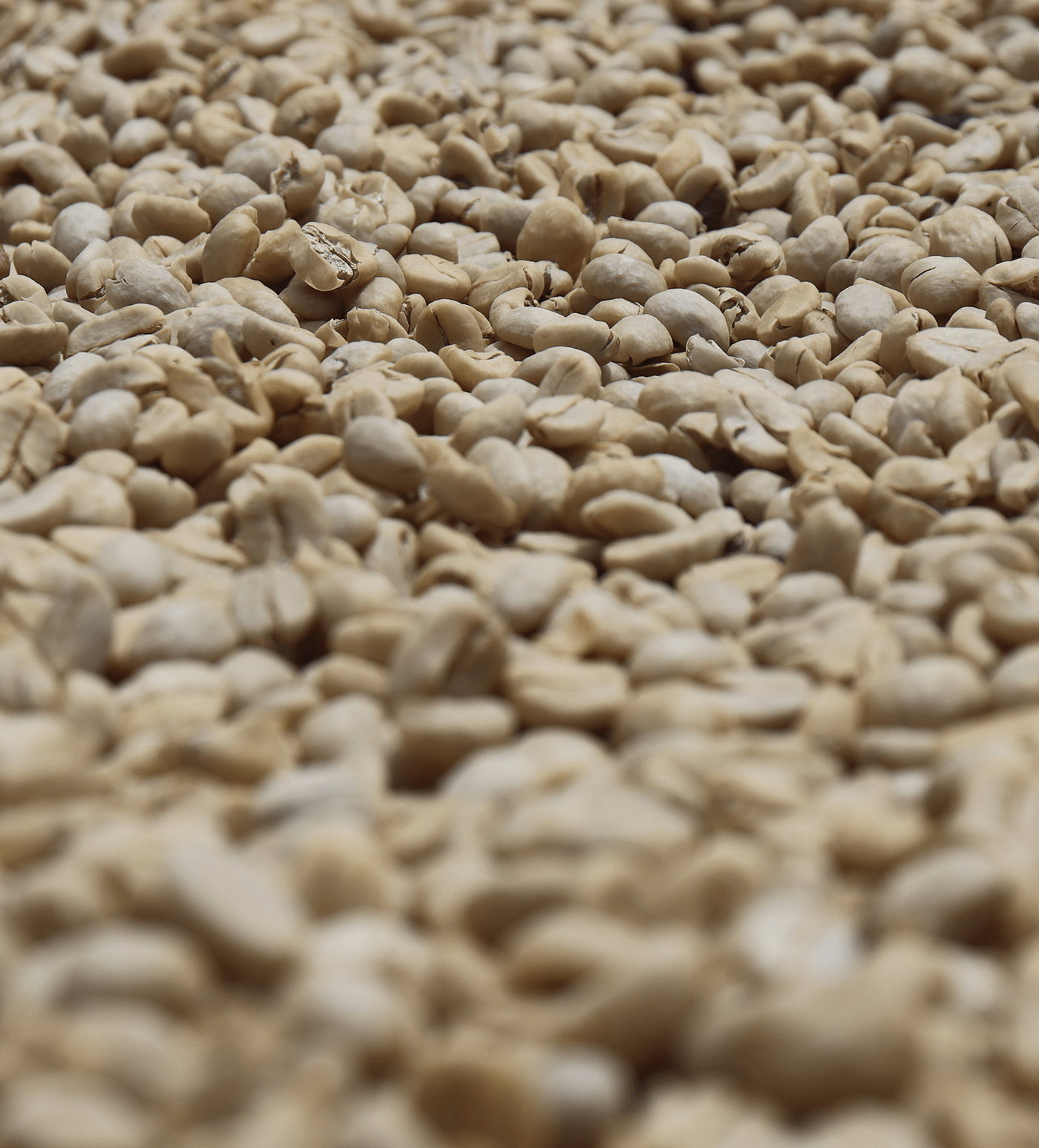 Verve Coffee Roasters - Kubwa - Producer Image