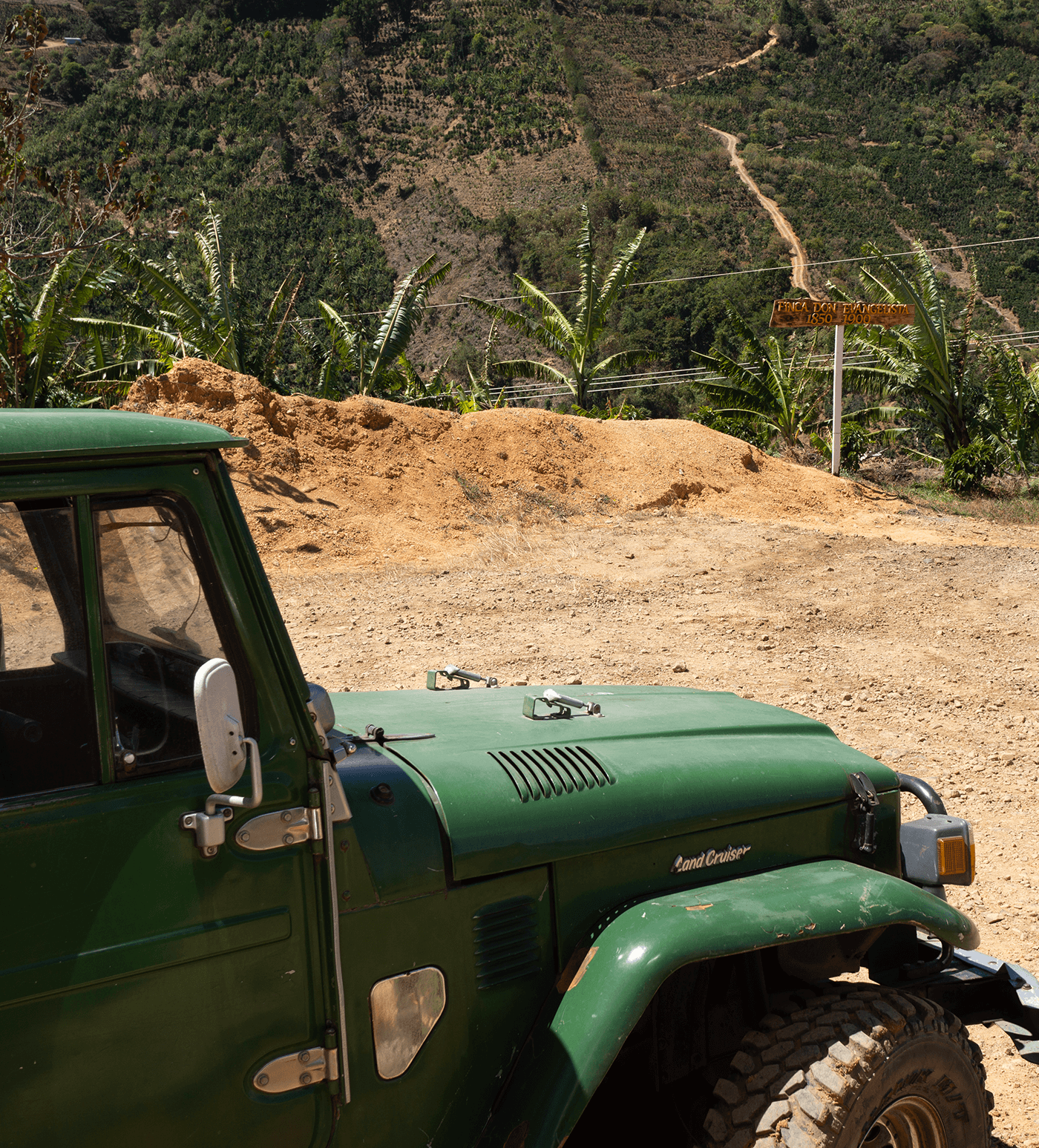Verve Coffee Roasters - La Obediencia - Producer Image