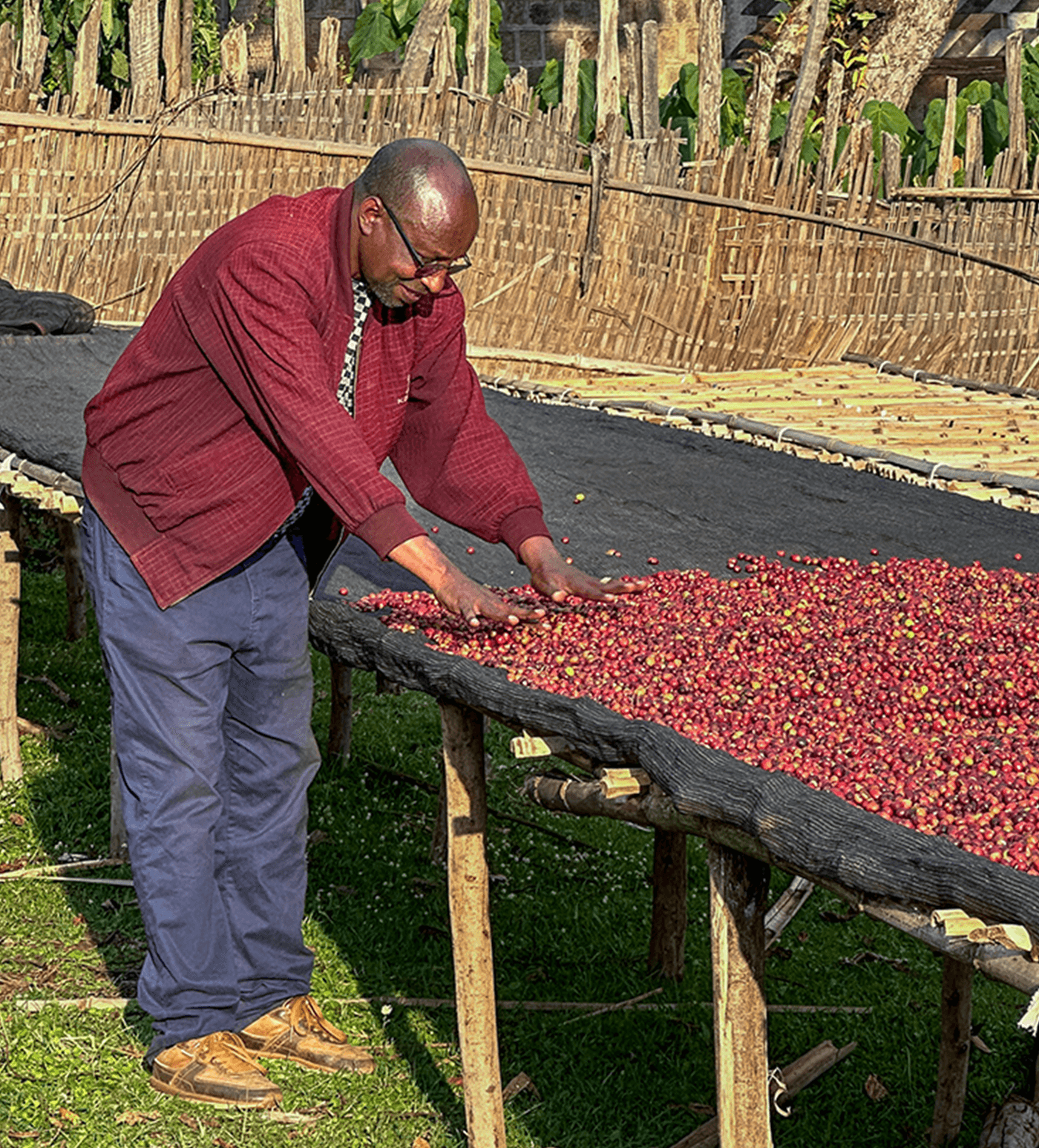 Verve Coffee Roasters - Mate Matiows - Producer Image
