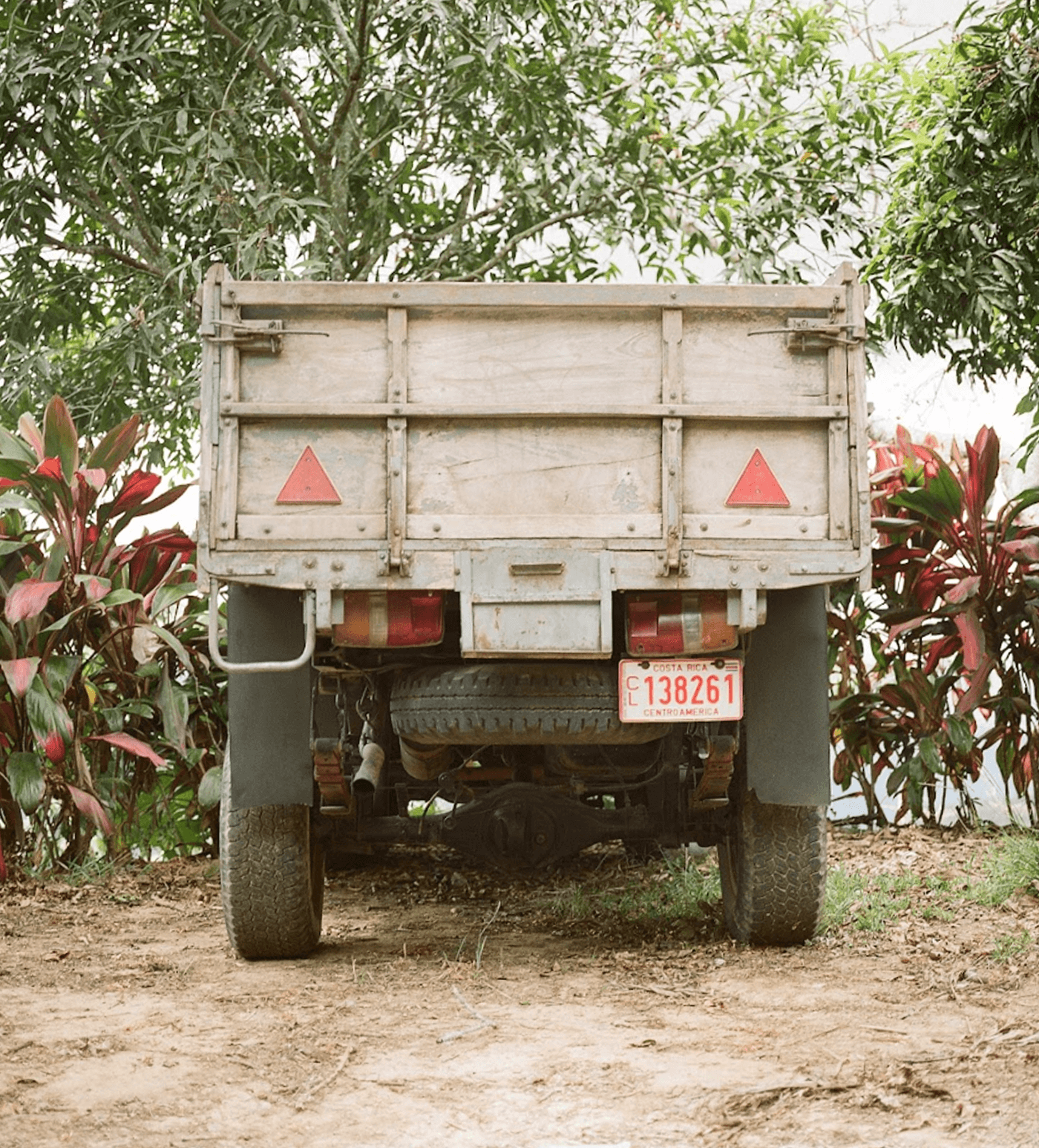 Verve Coffee Roasters - Montes De Oro - Producer Image