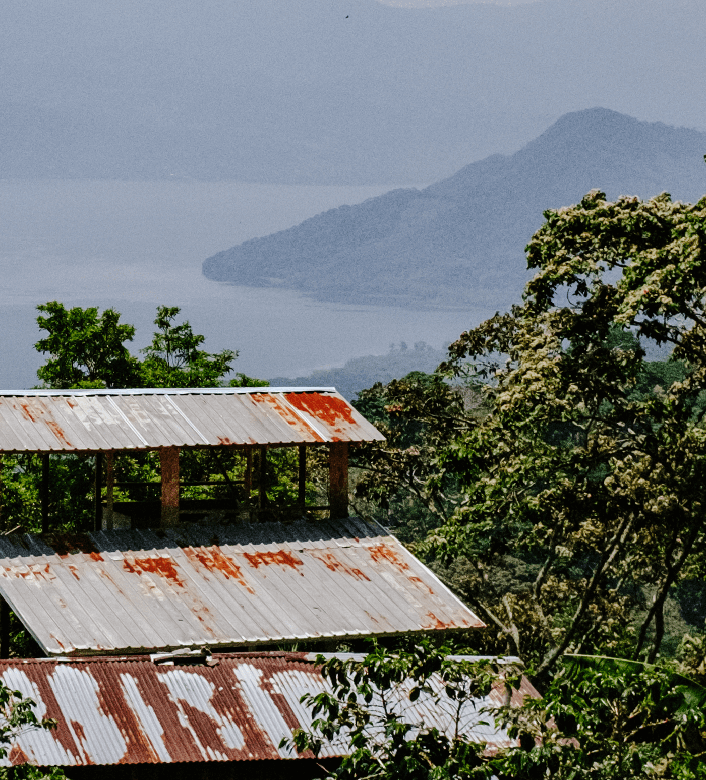 Verve Coffee Roasters - Roberto Sabillon Anaerobic Pacas - Producer Image