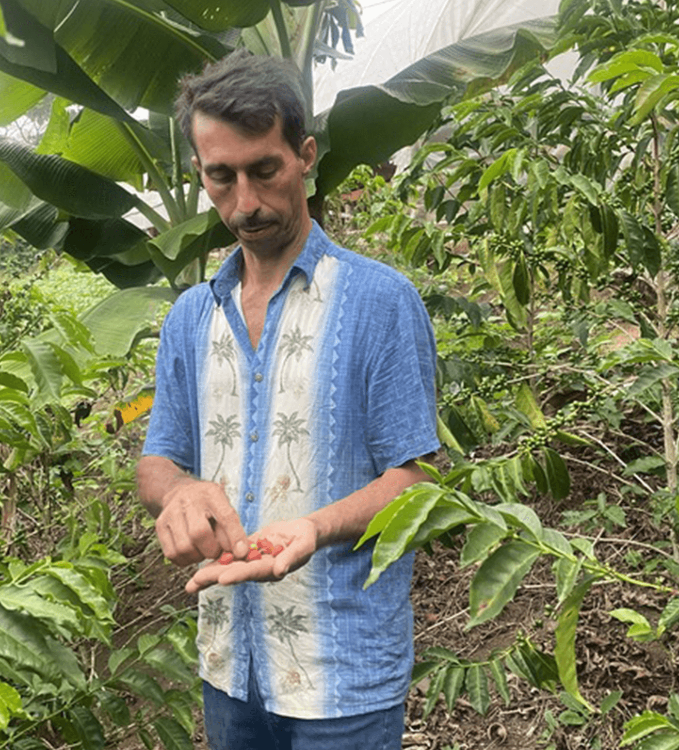 Verve Coffee Roasters - Roberto Sabillon Anaerobic Pacas - Producer Image